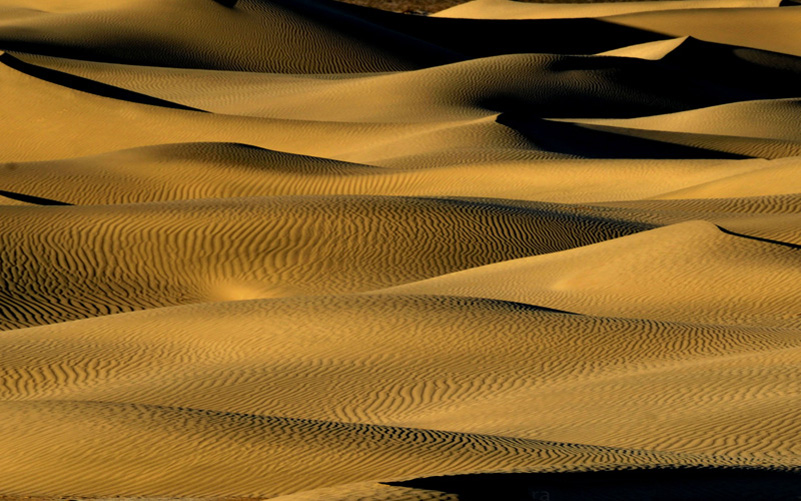 A Sea of Dunes