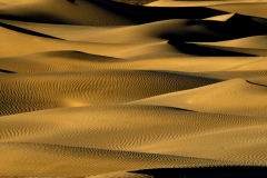 A Sea of Dunes