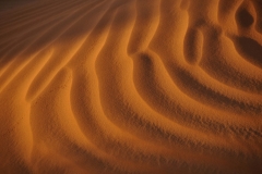 Dune Noir