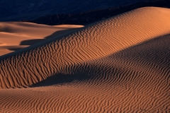 Sensual Dune