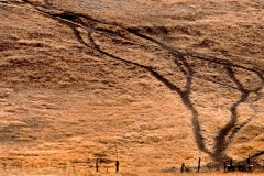 The Way to Water